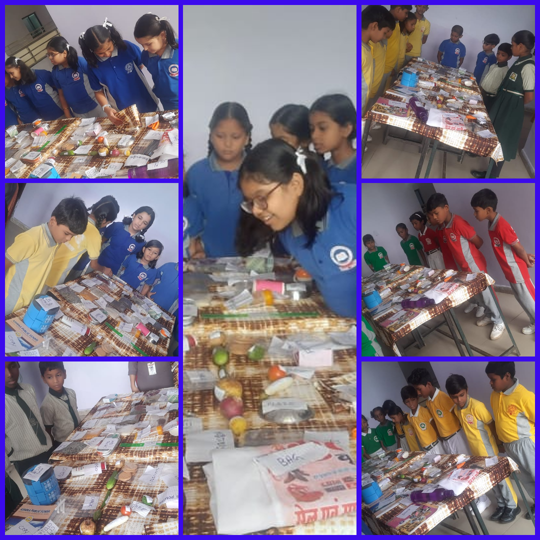 ashoka school